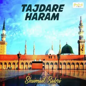 Tajdare Haram image