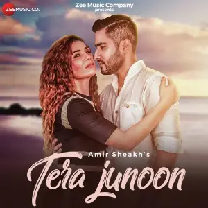 Tera Junoon image