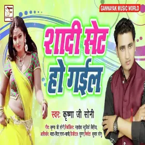 Shadi Set Ho Gael image