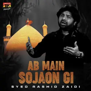 Ab Main So Jaon Gi image