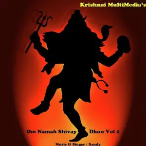 Om Namah Shivay Dhun Vol.2 image