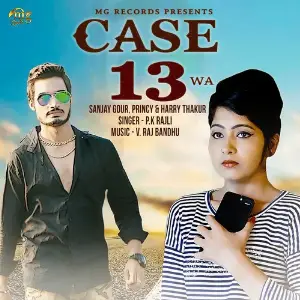 Case 13 W.A. image