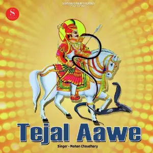 Tejal Aawe image