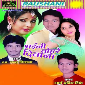 Bhaini Tohare Diwana image