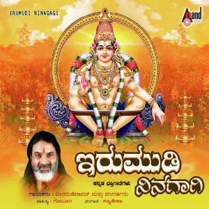 Irumudi Ninagagi image