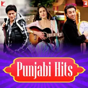 Punjabi Hits Various Artists
