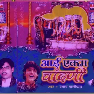 Aai Ekam Chandani image