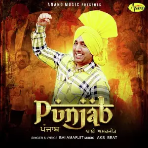 Punjab image