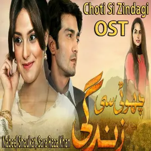 Choti Si Zindagi (From Choti Si Zindagi) image