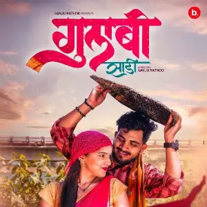 Gulabi Sadi image