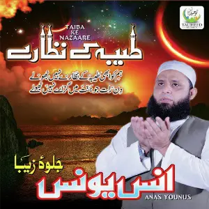 Taiba Ke Nazaare image
