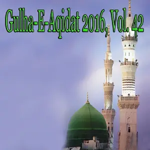 Gulha-e-Aqidat 2016, Vol. 42 image