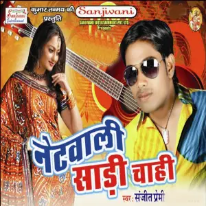 Net Wali Sari Chahi image