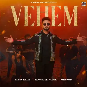 Vehem image