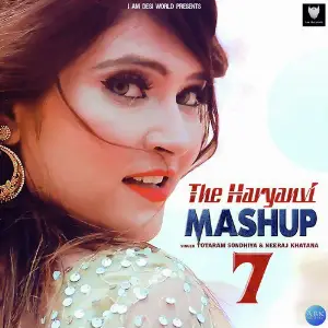 The Haryanvi Mashup 7 image