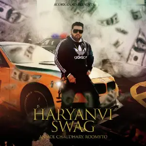 Haryanvi Swag image
