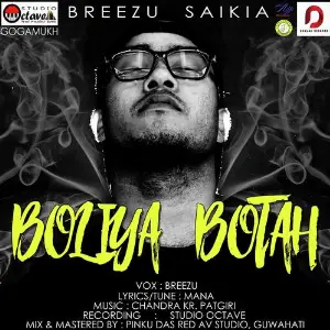 Boliya Botah image