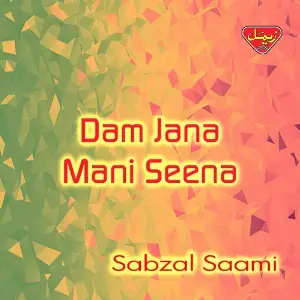 Dam Jana Mani Seena image