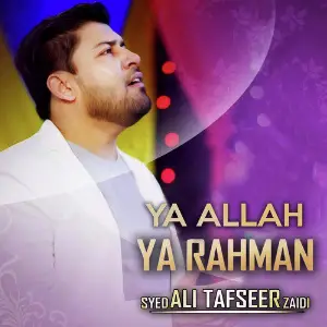 Ya Allah Ya Rahman - Single image
