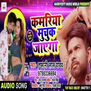 Kamariya Muchuka Jaayega image