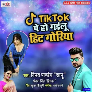 Tik Tok Pe Ho Gailu Hit Goriya image