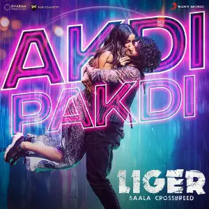 Akdi Pakdi (From Liger) image