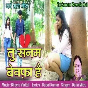 Tu Sanam Bewafa Hai image