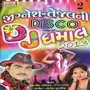 Jignesh - Tejal Ni DJ Disco Dhamaal 2013 -2 image