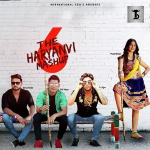 The Haryanvi Mashup 6 - Single image