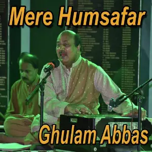 Mere Humsafar image