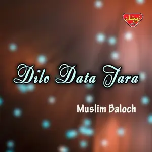 Dilo Data Tara image