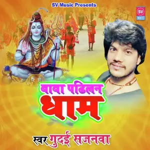 Baba Padilan Dham image