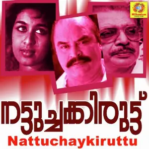 Veena Maniveena (From Nattuchaykiruttu) image