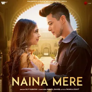 Naina Mere image