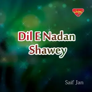 Dil-e-Nadan Shawey image