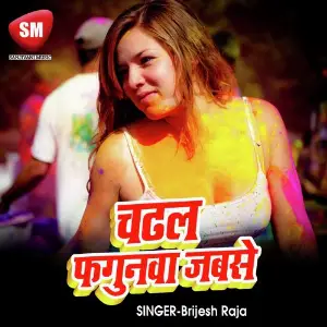 Chadhal Fagunwa Jabse (Bojpuri Holi Song) image