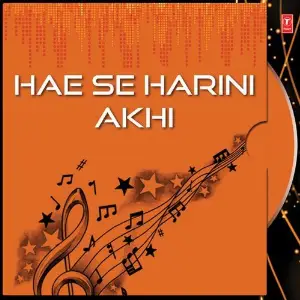 Hae Se Harini Akhi image