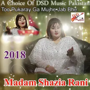 To Pukary Mujhey Jab Bhi - Single image