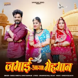 Jamai Aaya Mehaman image