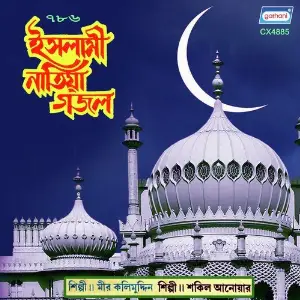 Islami Natia Gazal image