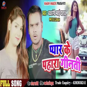 Pyar Ke Pahra Ginti image