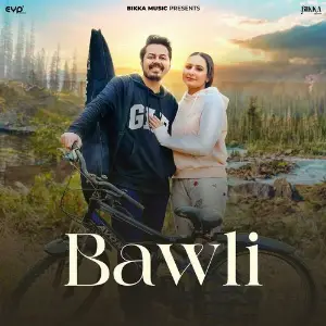 Bawli image