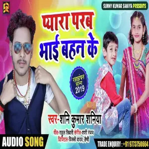 Pyara Parv Bhai Bahan Ke image