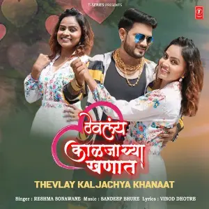 Thevlay Kaljachya Khanaat image