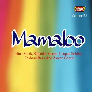 Mamaloo, Vol. 25 image
