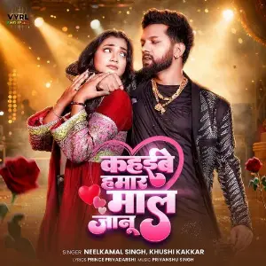 Kahibe Hamar Maal Janu image