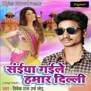 Saiyan Gaile Hamar Delhi image