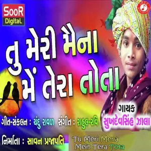 Tu Meri Mena Mein Tera Tota image