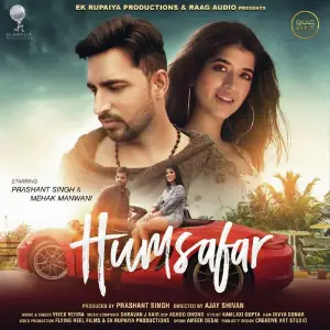 Humsafar image