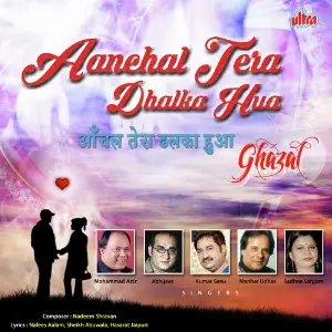 Aanchal Tera Dhalka Hua Various Artists